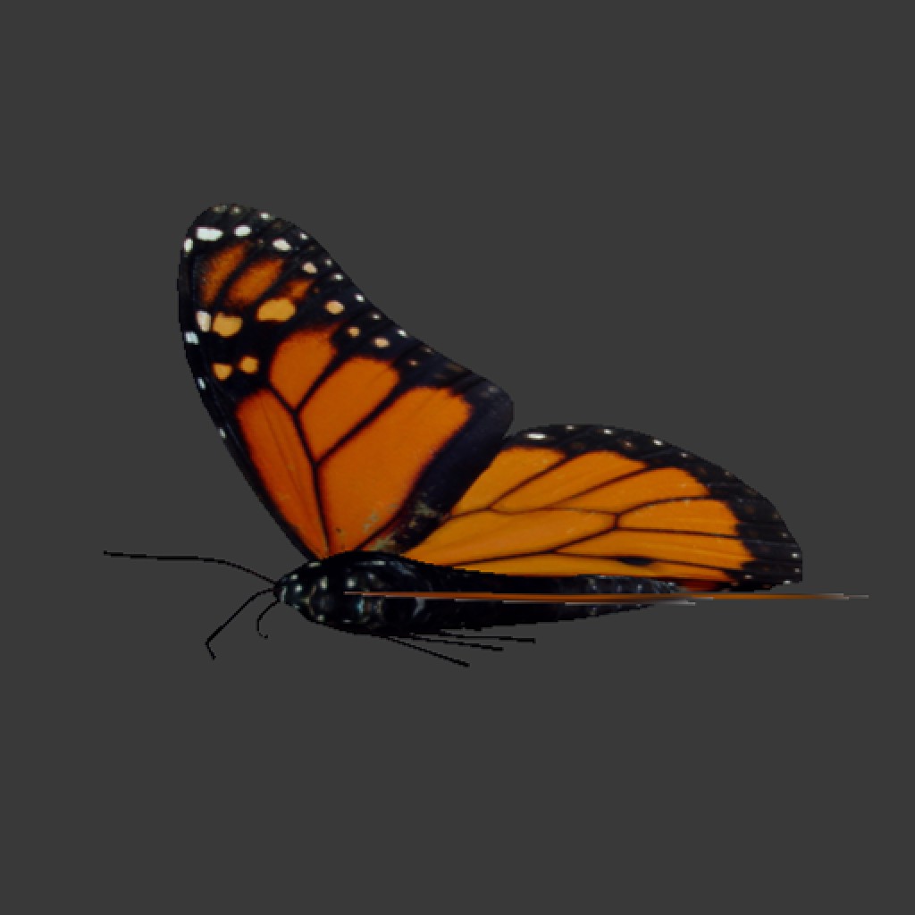 Butterfly animation using Animation Nodes preview image 1